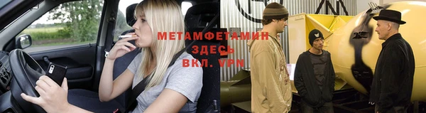индика Алексин