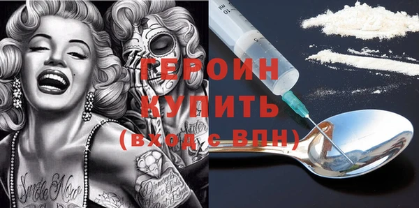 индика Алексин