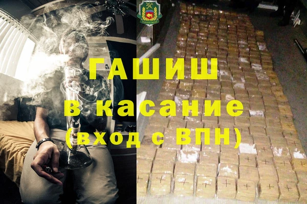 индика Алексин