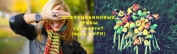 индика Алексин
