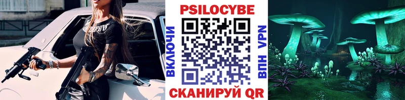 Псилоцибиновые грибы Psilocybine cubensis  Краснокамск 